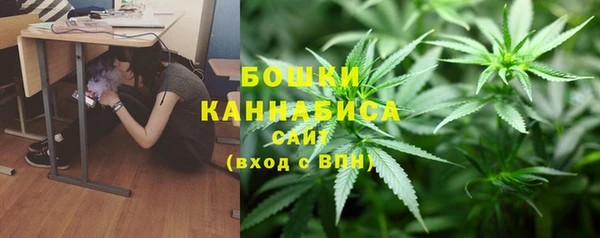дурь Новодвинск