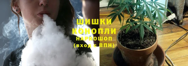 крисы Новокубанск