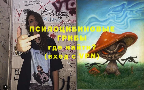 MDMA Premium VHQ Новозыбков