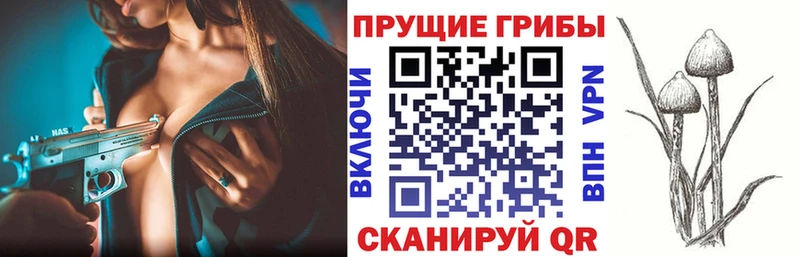 Купить закладки Тбилисская Галлюциногенные грибы MAGIC MUSHROOMS
